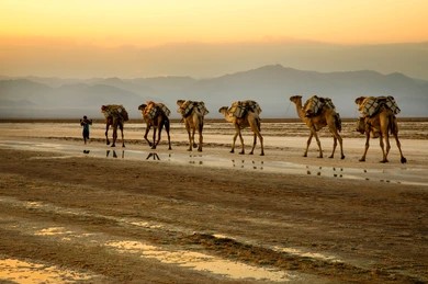 Afar Culture